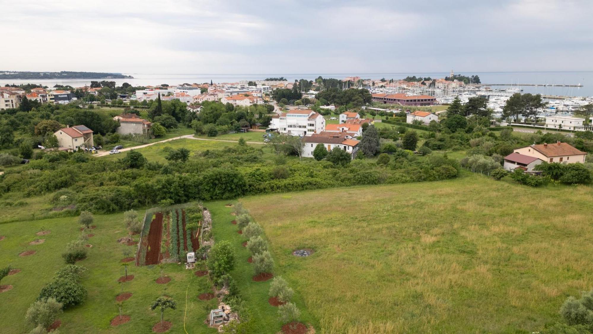 Apartments Mirella Novigrad  Exterior photo
